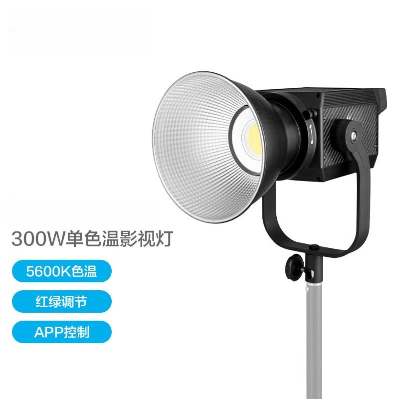 300W Hochleistungs-Videoleucht – Photography Lighting Options Bewertung und Preis
